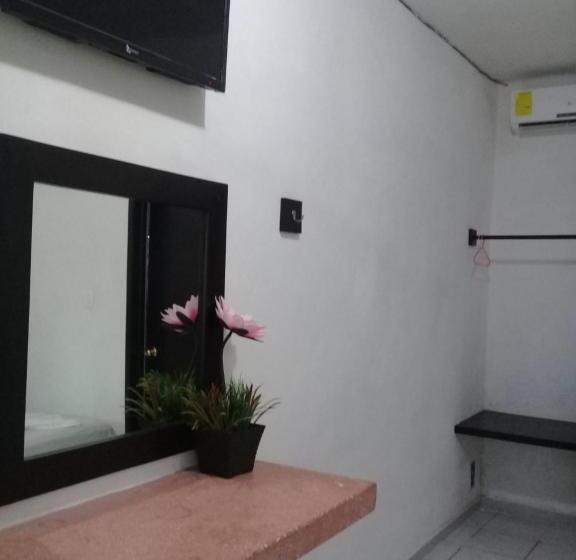 اتاق استاندارد, 41 Valladolid