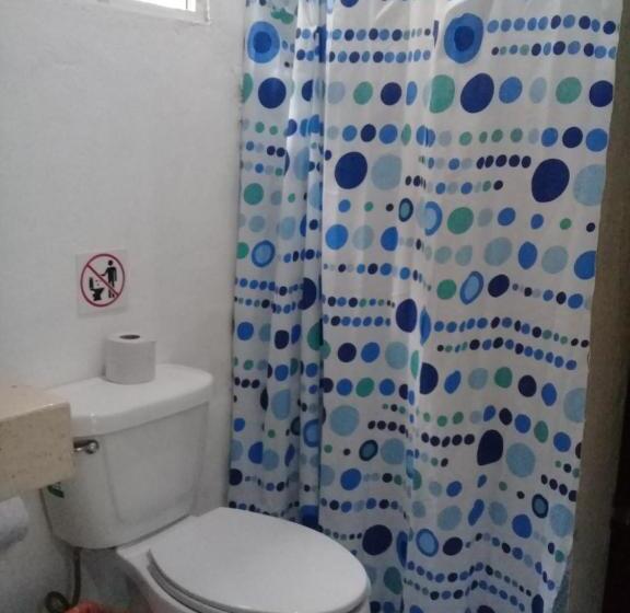 اتاق استاندارد با تخت بزرگ, 41 Valladolid