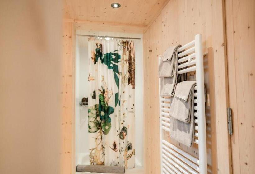 Апартаменты 1 Спальня с Террасой, Cortesi S Lenk Lodge, Boutiques Appartements