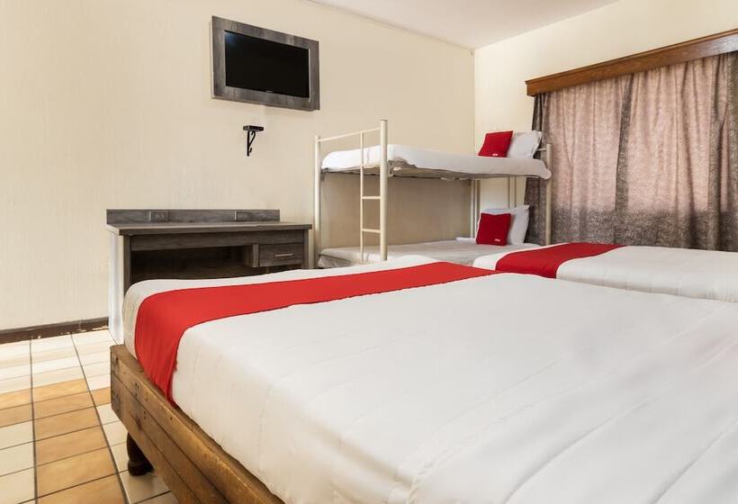 غرفة عائلية, Real Del Sur