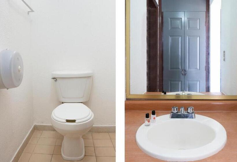 غرفة سوبيريور, Real Del Sur