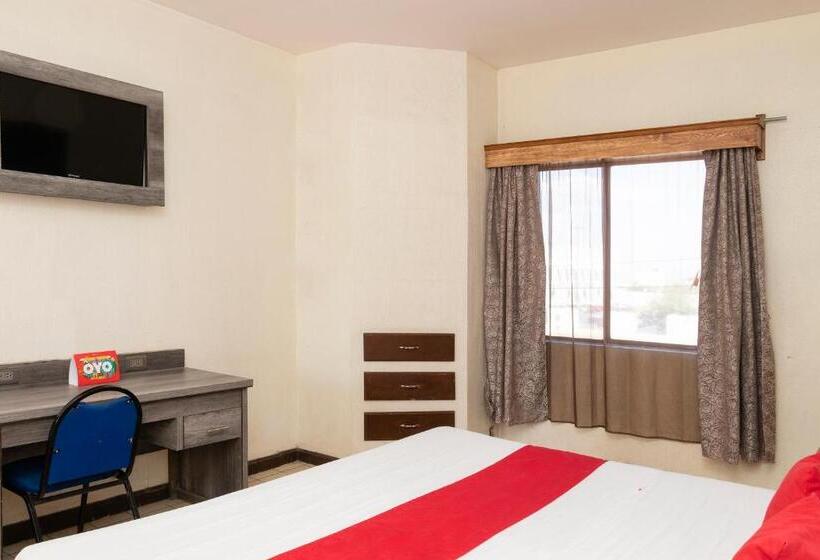 غرفة سوبيريور, Real Del Sur