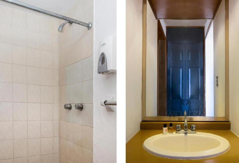 غرفة قياسية, Real Del Sur