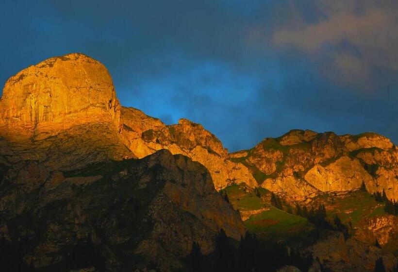 חדר אקונומי, Restaurant Simplon