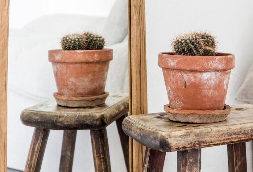 デラックスファミリールーム, Siggesta Gård