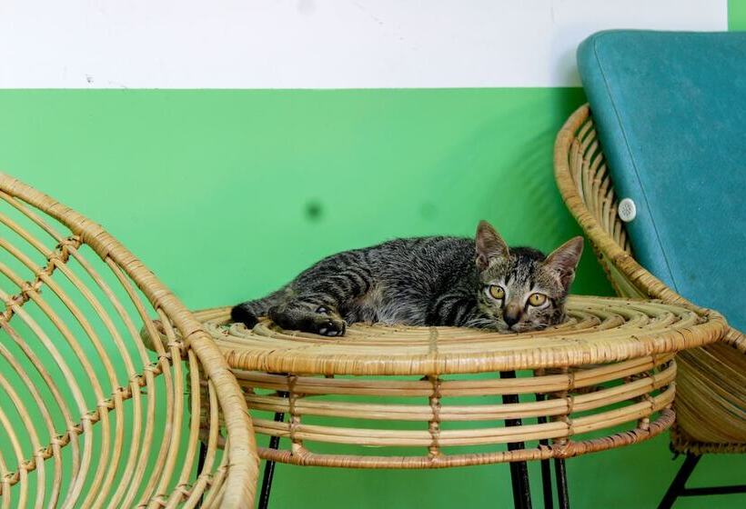 디럭스 룸, Moonlight Resort