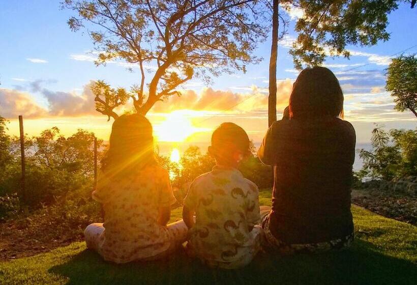 اتاق خانوادگی با چشمانداز باغ, Stay N Save B&b