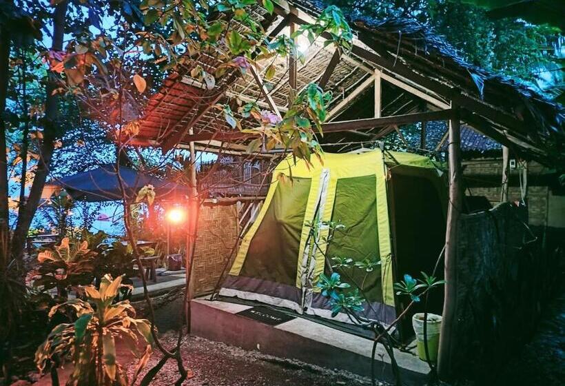 چادر با خدمات رفاهی استاندارد, Stay N Save B&b