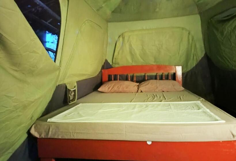 چادر با خدمات رفاهی استاندارد, Stay N Save B&b