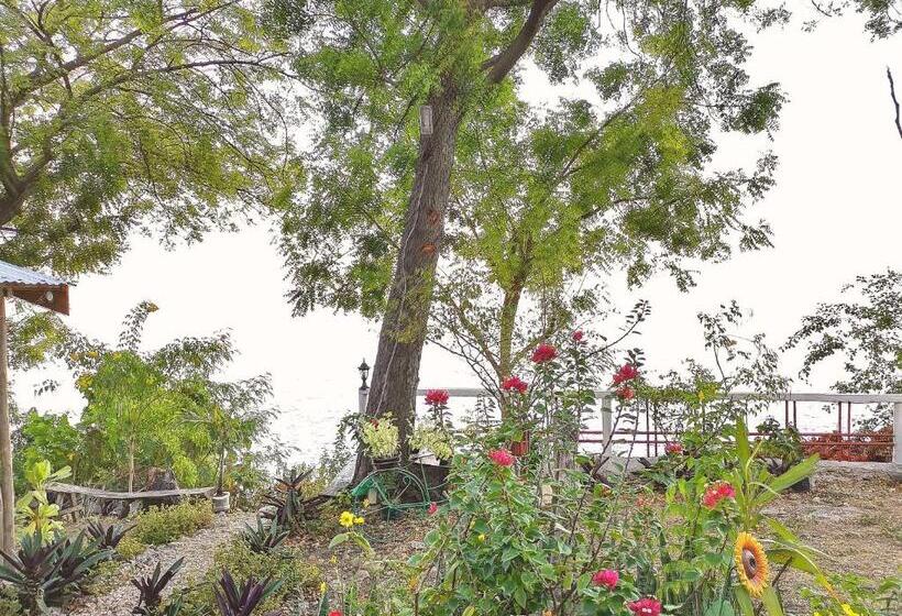 سوییت جونیور با چشمانداز دریا, Stay N Save B&b