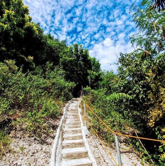 اتاق اکونومی, Stay N Save B&b