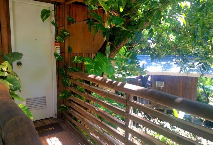 اتاق خانوادگی با چشمانداز باغ, Stay N Save B&b