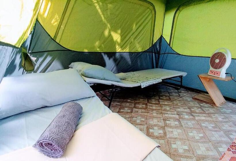 چادر با خدمات رفاهی استاندارد, Stay N Save B&b