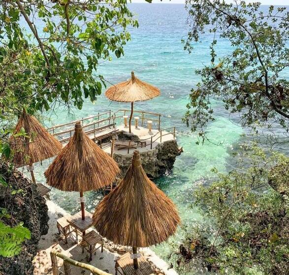 اتاق استاندارد, Stay N Save B&b