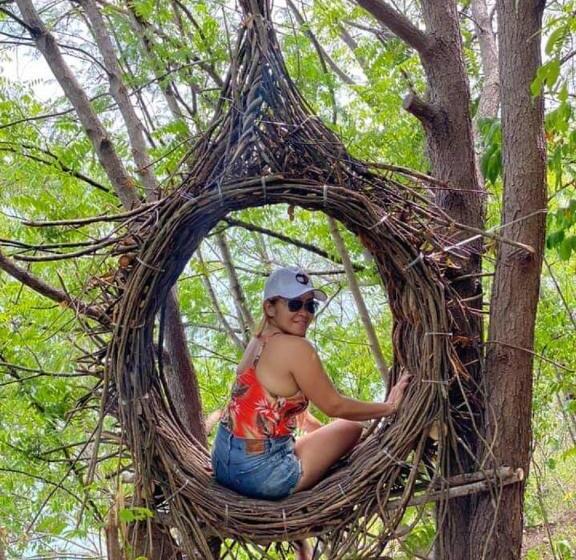 اتاق استاندارد, Stay N Save B&b