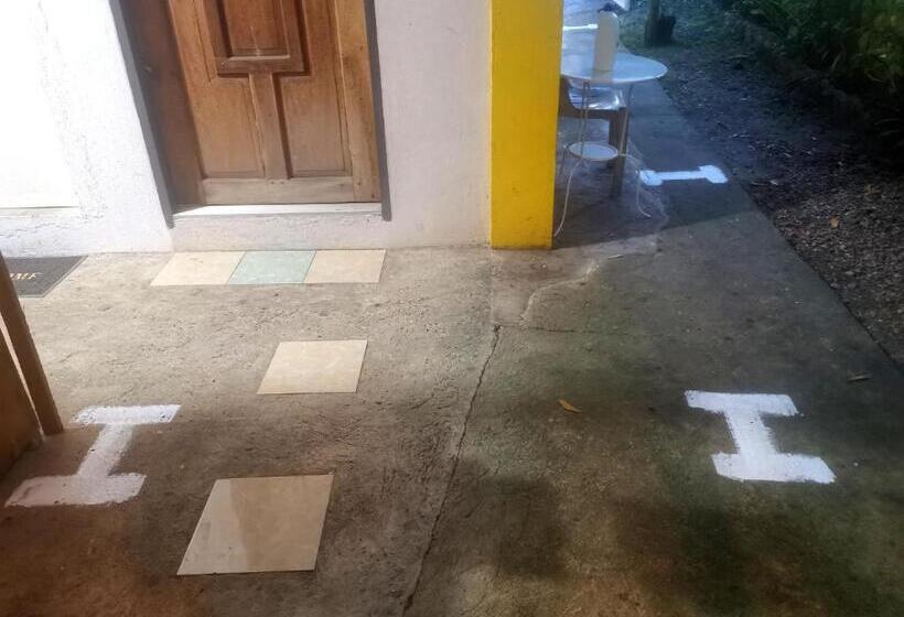 اتاق اکونومی, Stay N Save B&b