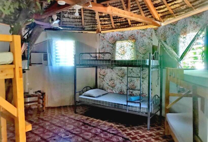 Семейный Номер Вид на Сад, Stay N Save B&b