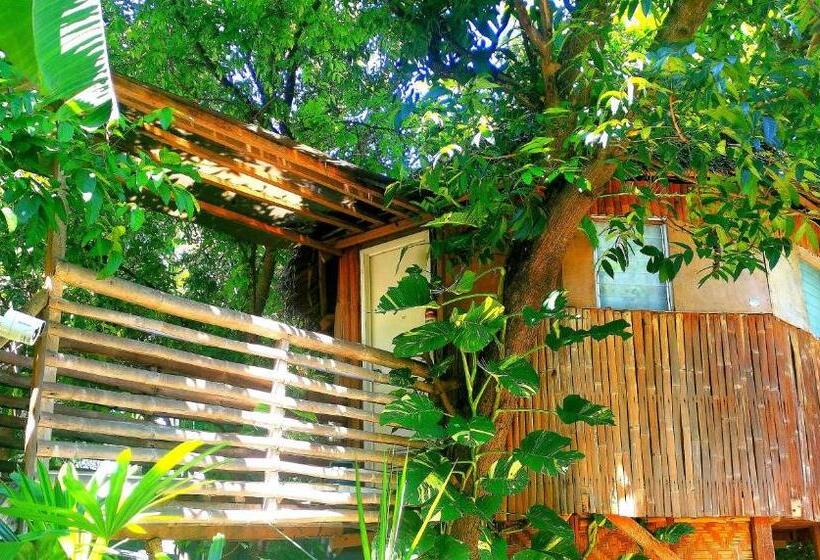 اتاق خانوادگی با چشمانداز باغ, Stay N Save B&b