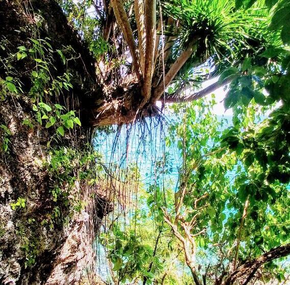 اتاق خانوادگی, Stay N Save B&b