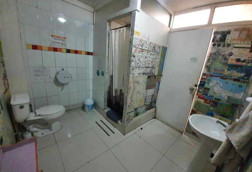 تختخواب در اتاق مشترک, Nómada Eco Hostal