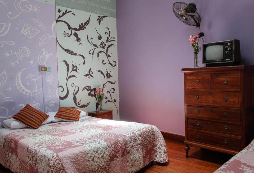 اتاق استاندارد, Nómada Eco Hostal
