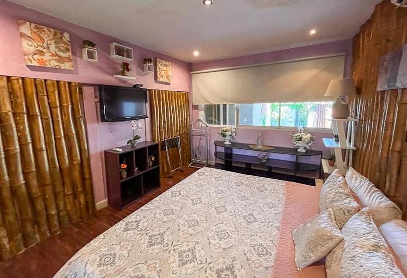 デラックススイート, Bambú Lodge San Jose Airport