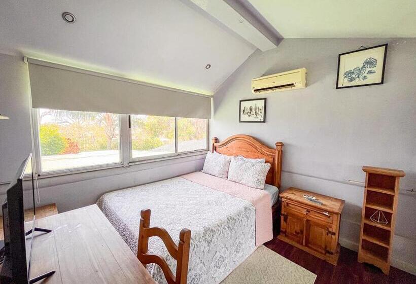 デラックスルーム, Bambú Lodge San Jose Airport