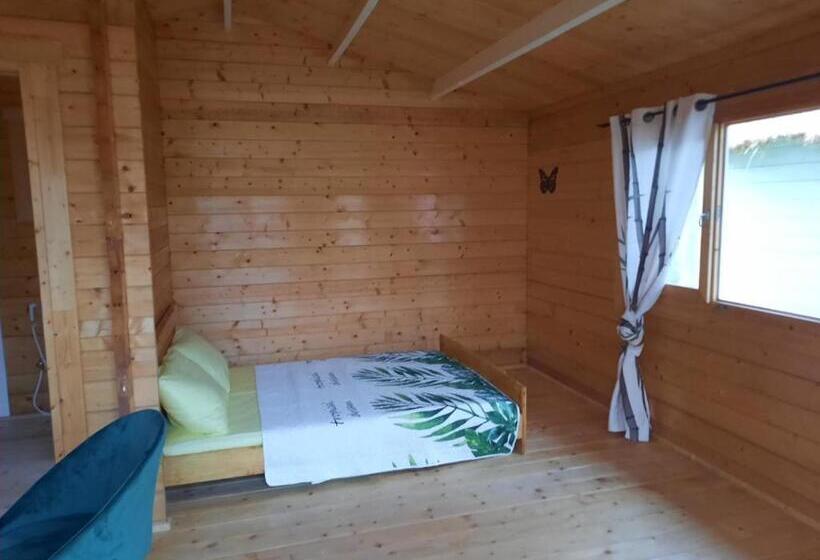 استودیوی استاندارد با چشمانداز دریا, Chalets Chomoni