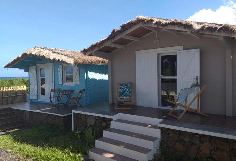 استودیوی استاندارد با چشمانداز دریا, Chalets Chomoni