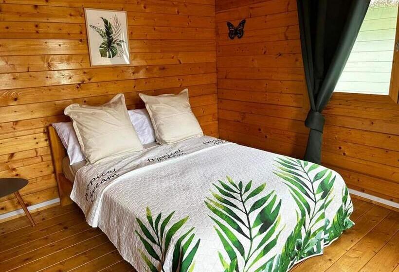 استودیوی استاندارد با چشمانداز دریا, Chalets Chomoni