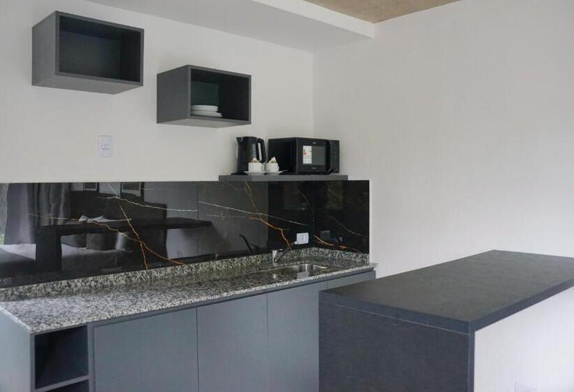 غرفة قياسية, Mérit Parque Leloir By Amérian