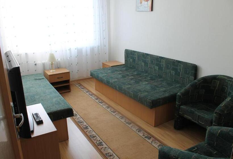 اتاق استاندارد با سرویس بهداشتی مشترک, šd Jedlíkova 5