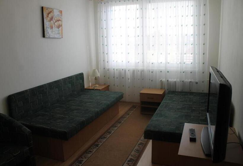 اتاق استاندارد با سرویس بهداشتی مشترک, šd Jedlíkova 5