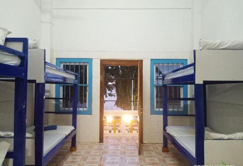 共用房间的床, Silver Dolphin Guesthouse & Restaurant