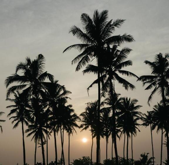 Deluxe Zimmer, Cocoplant Surf Inn