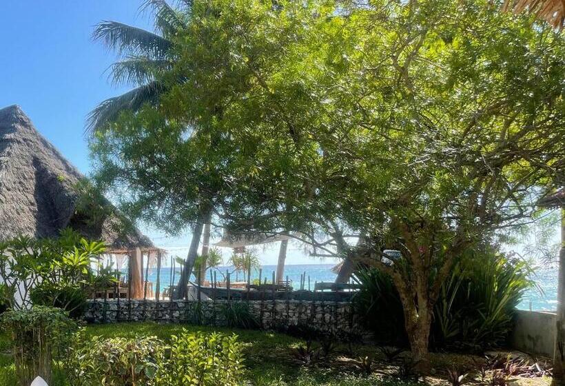 带海景的标准房, Aya Beach Resort