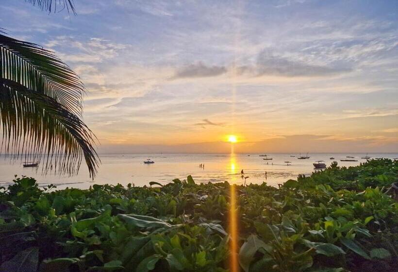 Четырехместный Номер Стандарт Вид на Море, Aya Beach Resort