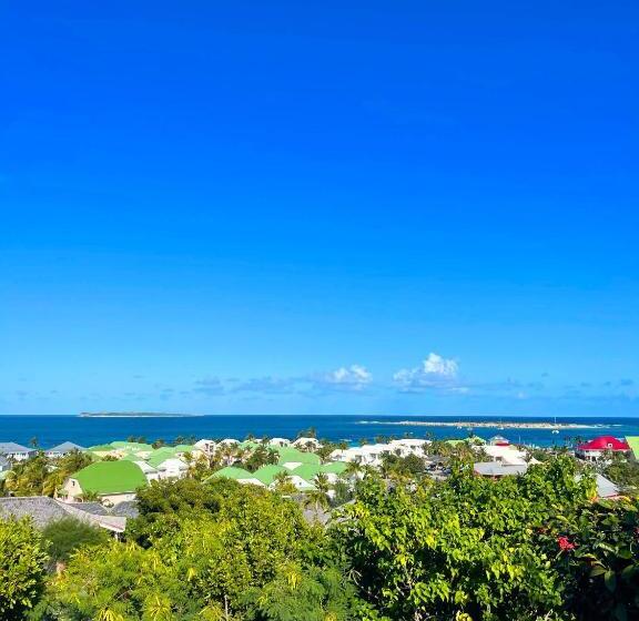 סטודיו סופריור, La Plantation