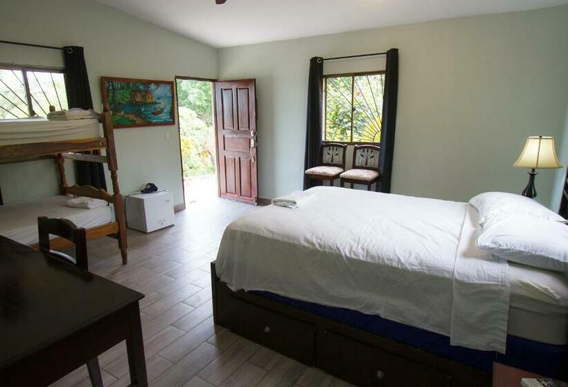 غرفة قياسية ثلاثية مطلة علي حمام السباحة, Nicawaves