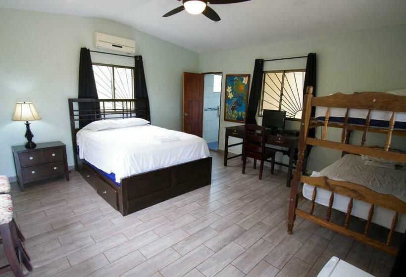 غرفة قياسية ثلاثية مطلة علي حمام السباحة, Nicawaves