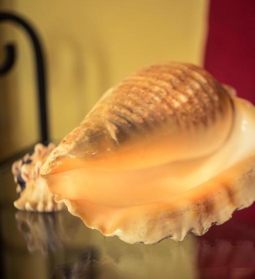 غرفة رباعية قياسية بإطلالة على المسبح, Nicawaves