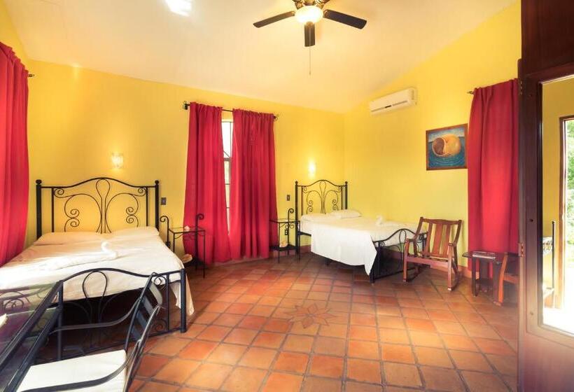 غرفة رباعية قياسية بإطلالة على المسبح, Nicawaves