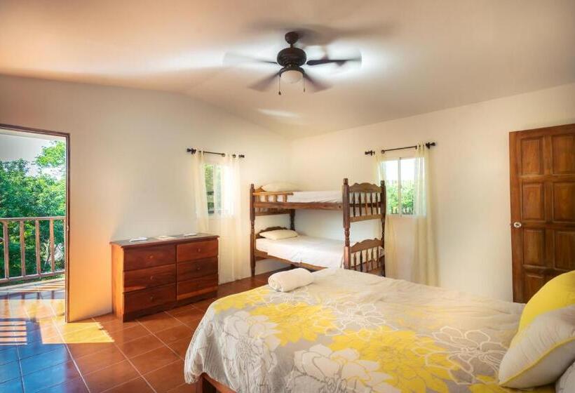 غرفة قياسية ثلاثية مطلة علي حمام السباحة, Nicawaves