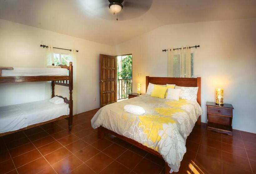 غرفة قياسية ثلاثية مطلة علي حمام السباحة, Nicawaves