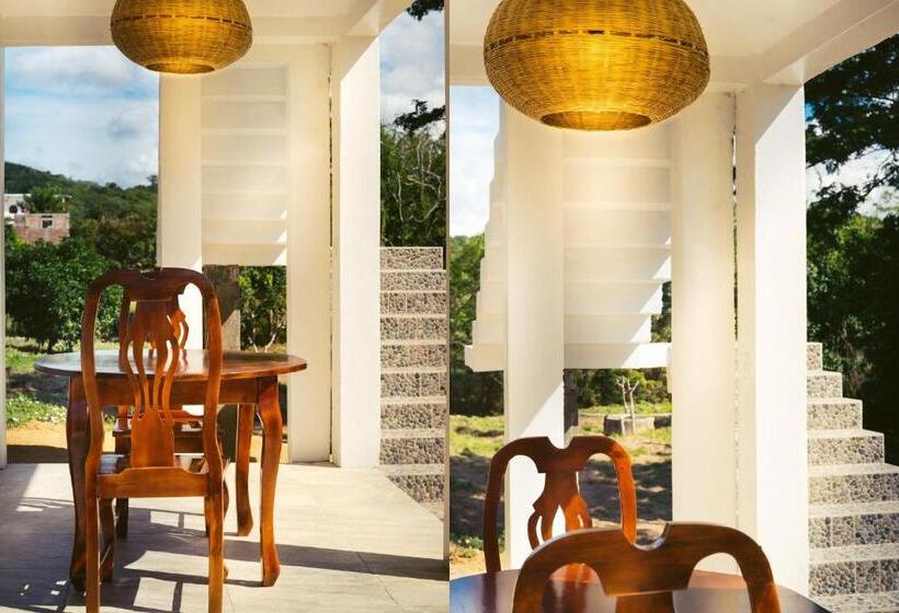 غرفة قياسية رباعية, Nicawaves