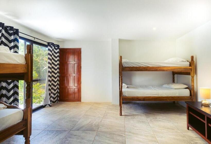 غرفة قياسية رباعية, Nicawaves