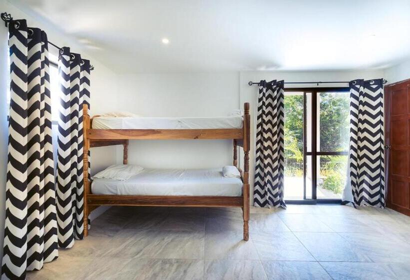 غرفة قياسية رباعية, Nicawaves