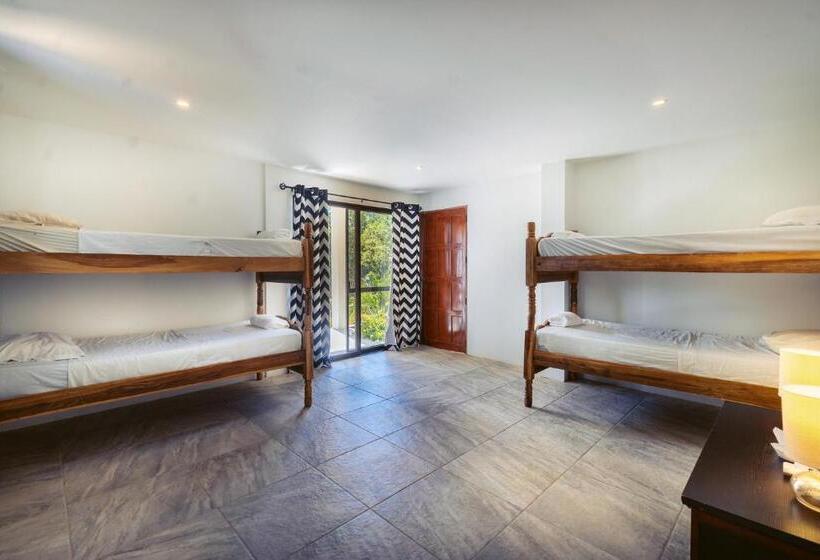 غرفة قياسية رباعية, Nicawaves