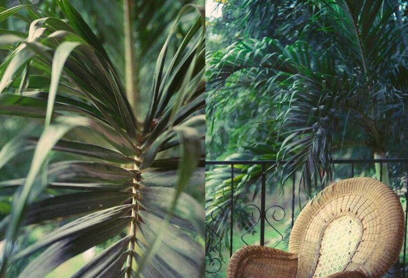 غرفة قياسية ثلاثية مزودة بشرفة, Nicawaves