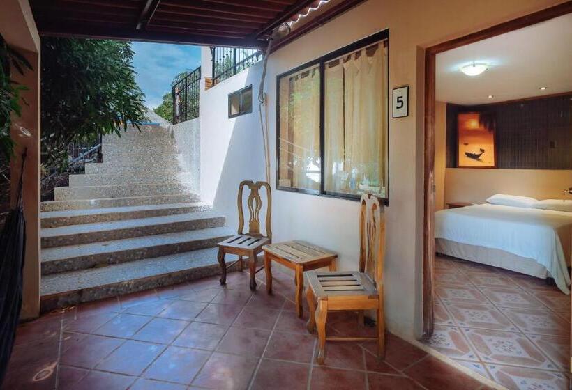 غرفة قياسية, Nicawaves